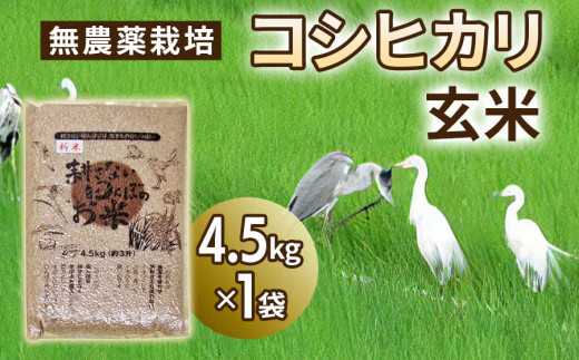 
無農薬栽培 コシヒカリ 玄米 4.5kg [0346]
