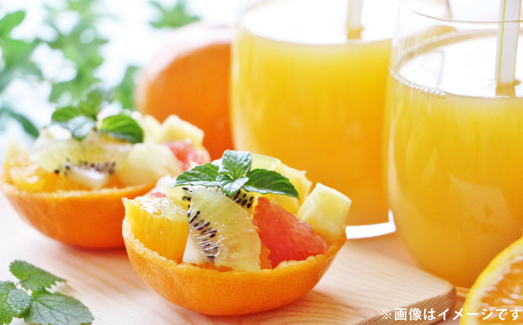 清見 オレンジ 約3kg  柑橘 みかん ミカン 蜜柑 果物 フルーツ きよみ デザート【2026年3月下旬〜4月上旬発送予定】