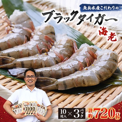 【毎月定期便】魚兵水産こだわりのブラックタイガー海老　 10尾3パック(計720g程度)全3回【配送不可地域：離島】【4067301】