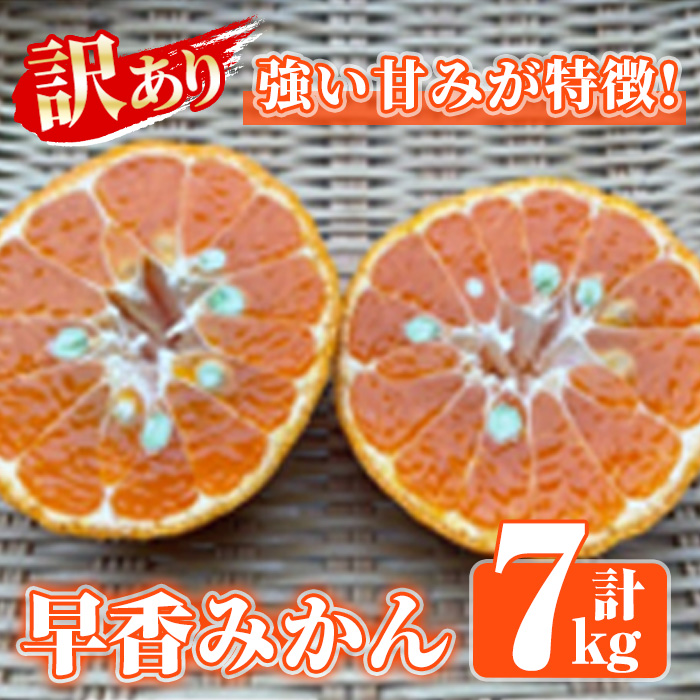 ＜2024年12月中旬以降発送予定＞訳あり早香みかん(計7kg) 国産 フルーツ 果物 蜜柑 柑橘 みかん 訳あり【松永青果】a-12-303-z