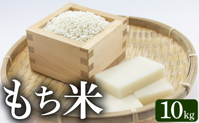 先行予約 令和8年度産 もち米 10kg