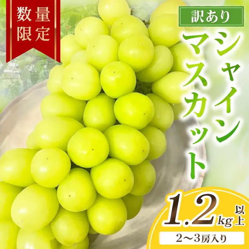 訳ありシャインマスカット 1.2kg以上（2～3房入り）| シャインマスカット