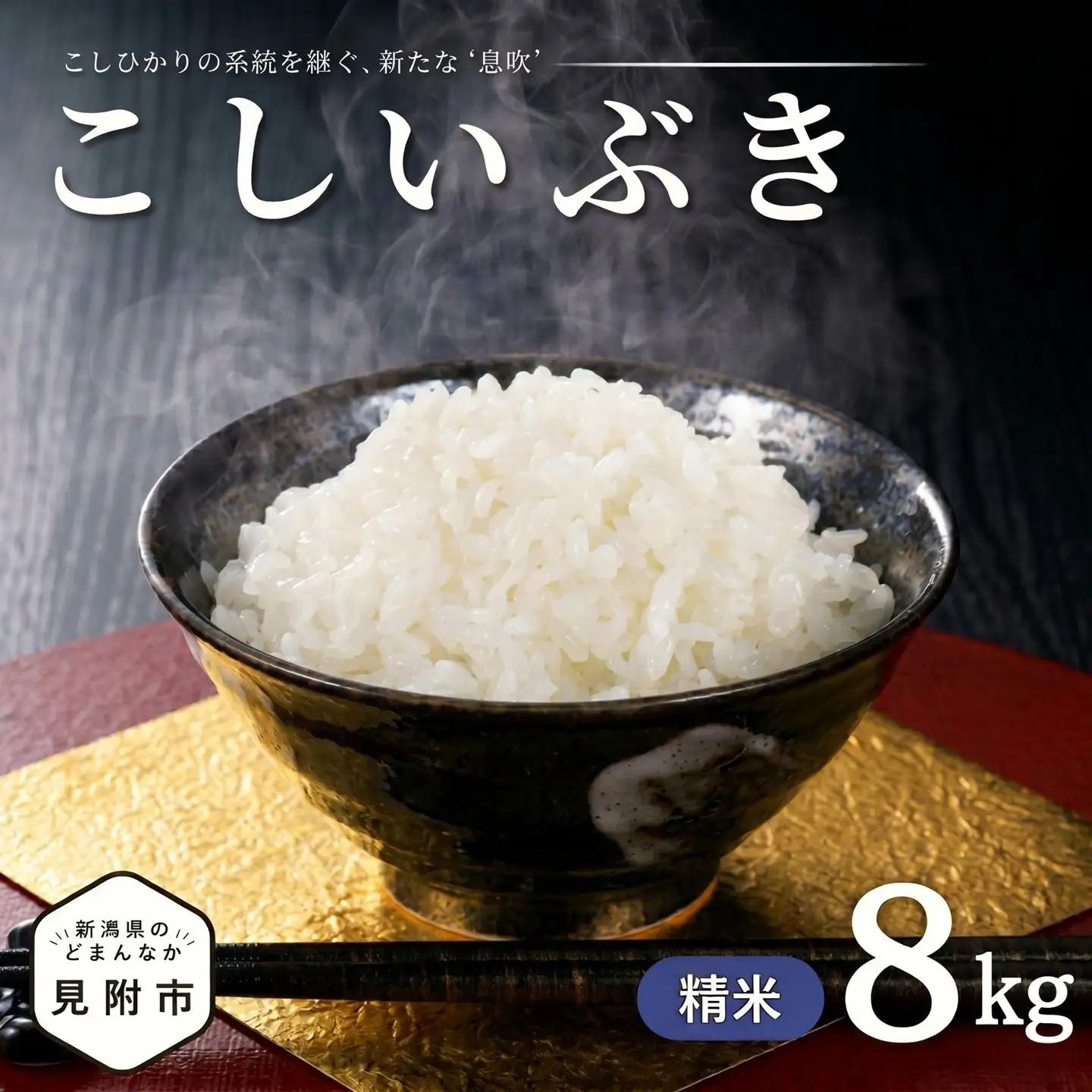 米米 無洗米 令和7年産 こしいぶき 8kg