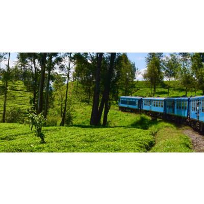 ふるさと納税 我孫子市 セイロン紅茶専門店MISTYWICK　紅茶のギフトセット　人気のティーバッグ12個×3種セット |  | 03