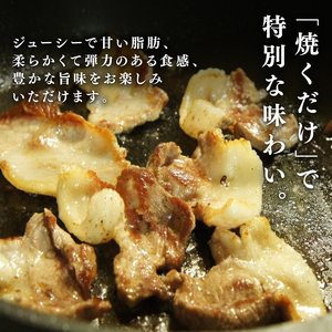 【6回定期便】  京丹波ぽーく 切り落とし （うで肉） 1.5kg ×6カ月 合計9kg 6回 定期便 京都 京丹波町  国産 豚肉 京都ポーク ポーク オリジナル ブランド [078KT001R]