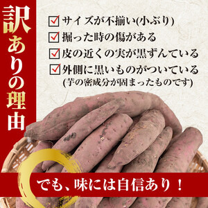 No.1123 ＜訳あり・規格外＞鹿児島県産熟成紅はるかの冷凍焼きいも(計4kg・800g×5袋) 国産 九州産 鹿児島県産 さつまいも サツマイモ さつま芋 紅はるか 訳アリ 訳あり 規格外 紅春香