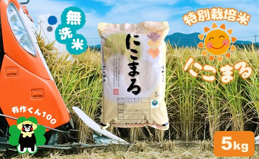 
特別栽培米 「無洗米にこまる」5kg 熊本玉名産
