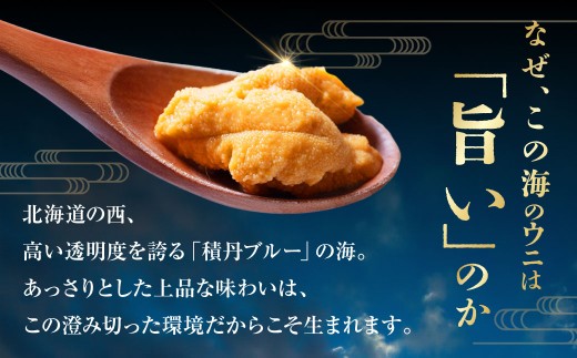 【 特選 】 塩水ウニ 100g （ 北海道産 エゾムラサキウニ ） うに ウニ 雲丹 海鮮 魚介 ウニ丼 うに丼 ミョウバン不使用 海産物 国産 【 2026年6月上旬～9月下旬発送予定 】