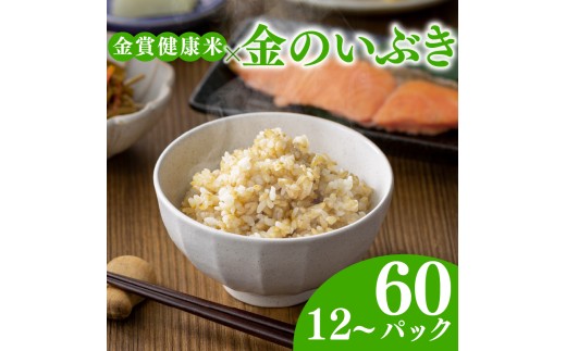 ご飯パック 金賞 健康米 金のいぶき  120g×12個入り 国産 レンチン もち麦 軽食 夜食 簡単 白米 麦 食物繊維 ビタミン 御飯 ごはん パック ご飯 パックライス