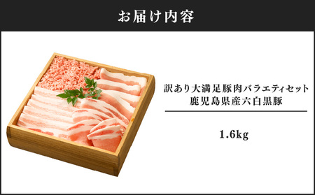 2620 訳あり 大満足豚肉バラエティセット 1.6kg 鹿児島県産六白黒豚 KN041-011 豚 豚肉 肉 お肉 鹿児島県産六白黒豚 黒豚 鹿児島県産 ロース バラ スライス ミンチ 冷凍 訳あり