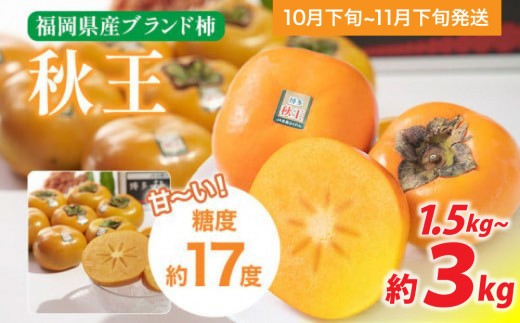 
                  《先行予約》期間限定 福岡県産ブランド柿「秋王」 約1.5・3kg 返礼品 お取り寄せグルメ お取り寄せ グルメ カキ かき 果物 フルーツ 南国フルーツ CO-S0005 CO011 CO012
                