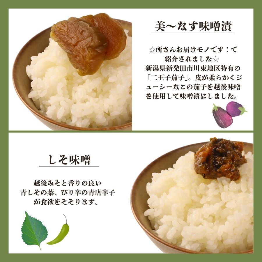 つけもの 8点 セット 【 さくまのお漬物8点セット 美～なす 味噌漬け 奈良漬 しそ 紫蘇 味噌 かつお だし わらび 芋 つる ショウガ 生姜 青しそ 大根 しば しば漬 漬物 漬け物 人気 野菜