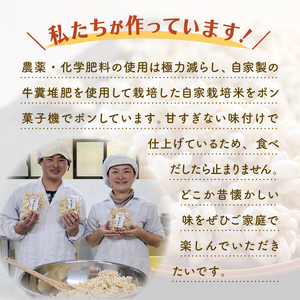 ポン菓子 70g×10袋 お菓子 おやつ 駄菓子 ぽん菓子 京丹波町産 キヌヒカリ お米 こめ コメ 使用 奄美諸島産 素焚糖 個包装 セット 小分け 手作り 米菓子 プレゼント 京丹波町 京都府 ふ