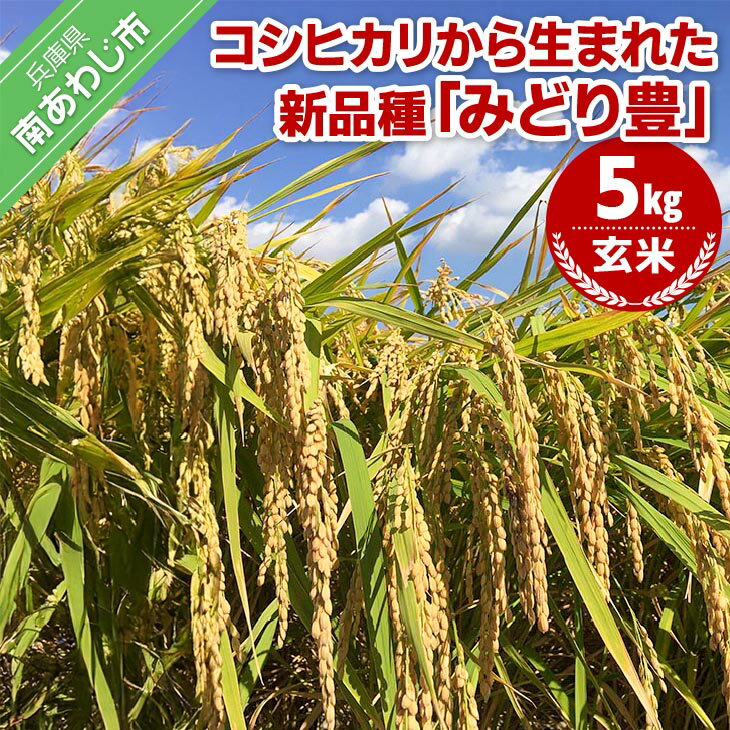 【ふるさと納税】令和7年産　玄米5kg　農薬・化学肥料不使用10月中旬頃から発送