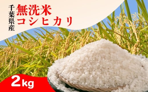 無洗米 千葉県産 コシヒカリ 2kg 米 お米 白米 ご飯 ごはん ふるさと納税米 精米済み 甘み つや おいしい 2キロ こしひかり 国産 国産米 弁当 朝ごはん 千葉 銚子 人気  家庭用 家族 ギフト プレゼント お中元 お歳暮 お祝い 贈答用 贈り物 挨拶 ブランド ブランド米 非常食 常備食 防災  送料無料 ふるさと納税 ふるさと納税米 千葉県 銚子市 根本商店