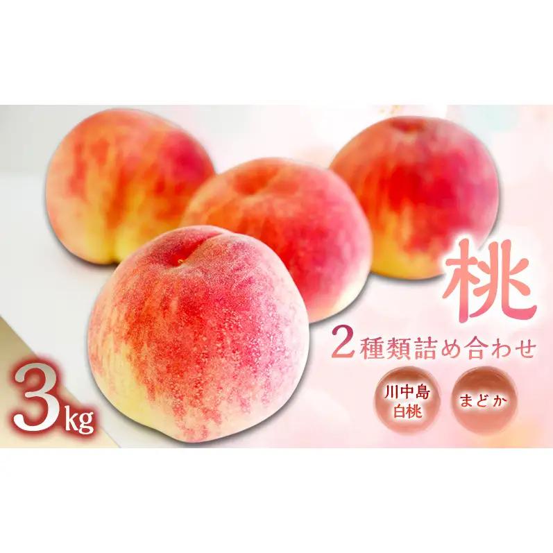 桃 2種類詰め合わせ3kg(まどか・川中島白桃) 長野県