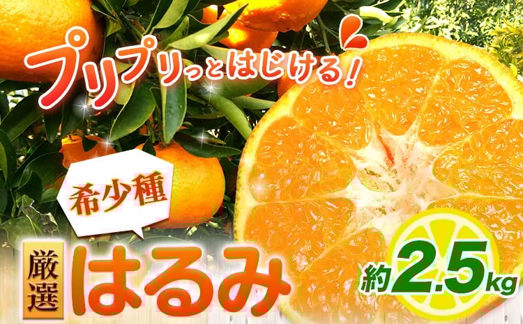 
                  ＜2月より発送＞厳選 はるみ 2.5kg+250g（傷み補償分） 池田鹿蔵農園 日高町《2026年2月上旬-3月末頃出荷》和歌山県 日高町 はるみ みかん 柑橘 フルーツ デコポンの姉妹品種 光センサー選別【配送不可地域あり】
                
