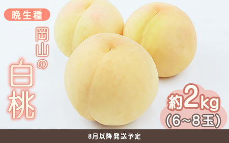 岡山の白桃 晩生種 約2kg（6～8玉）