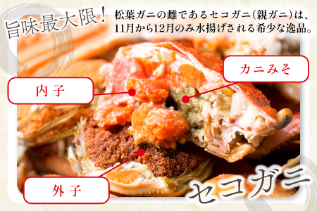 【蒸し】訳あり足折れご自宅用 日本海産親ガニ（セコガ二）3枚【訳あり かに カニ 親ガニ セコガニ ずわいがに ズワイガニ 冷蔵 チルド ブランド 蒸し ボイル 足折れ 自宅用 国産 季節限定 お取り