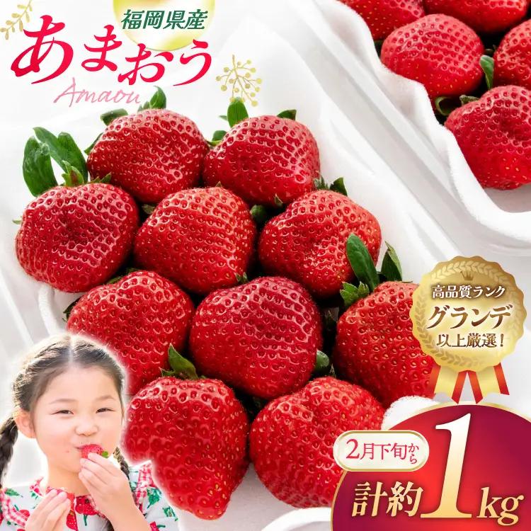 いちご あまおう 270g 4p 計約1kg【2月後半-3月後半発送】 2027年発送 先行予約