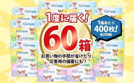 ティッシュ 日ハム ファイターズ 60箱 ティッシュ