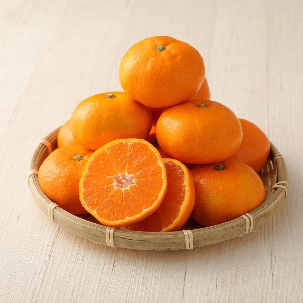 【ふるさと納税】長崎県産 温州みかん 10kg ( 5kg × 2箱 ) 個数 サイズ おまかせ | 果物 くだもの フルーツ みかん 蜜柑 柑橘 かんきつ 国産 旬 アフター保証 送料無料【2025年10月上旬～2026年1月下旬迄発送予定】