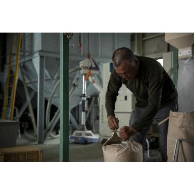 ふるさと納税 能美市 【令和7年産】石川県産コシヒカリ白米5kg×1袋カルゲン米 |  | 03