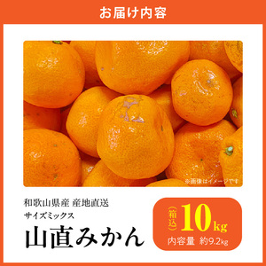MK1039_【2025年先行予約】みかん 山から直送 箱込 10kg ( 内容量 9.2kg ) 鮮度優先ごろごろ規格 和歌山県産 産地直送 家庭用 【みかんの会】