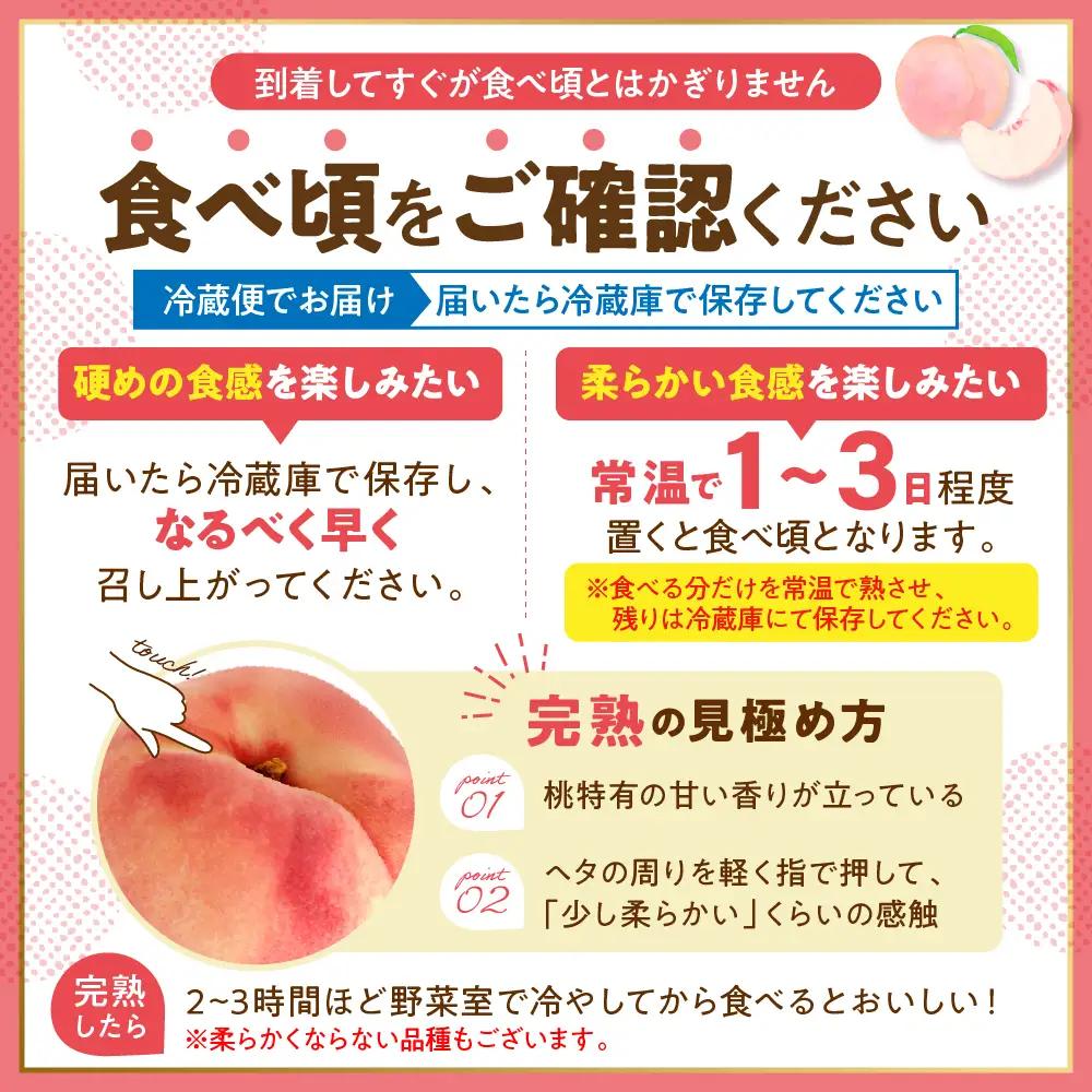 【2026年産】 白桃 ( 品種おまかせ ) 3kg 白桃 桃 もも