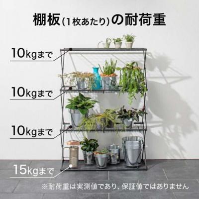 ふるさと納税 海南市 パンタグラックハウス L　54106500 |  | 03