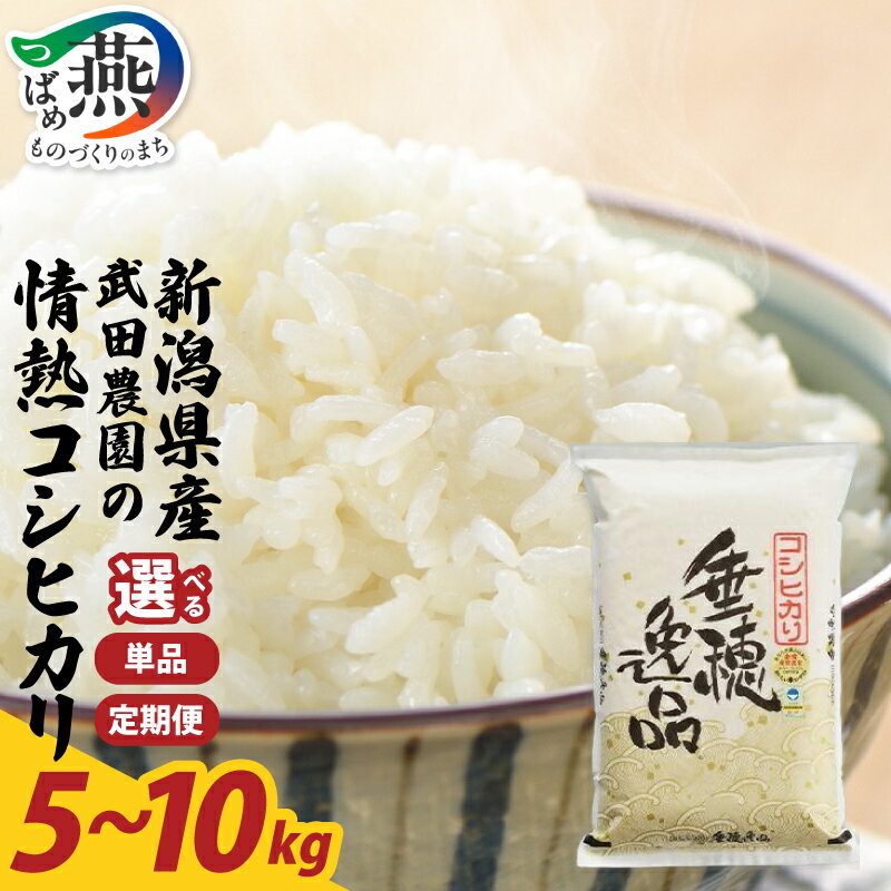 【ふるさと納税】【令和7年産】コシヒカリ 白米 5kg 10kg 1回 3回 お米コンテスト 金賞 武田農園 情熱米コシヒカリ 米 白米 お米 ごはん ご飯 白飯 ライス 新潟県 燕三条 燕市