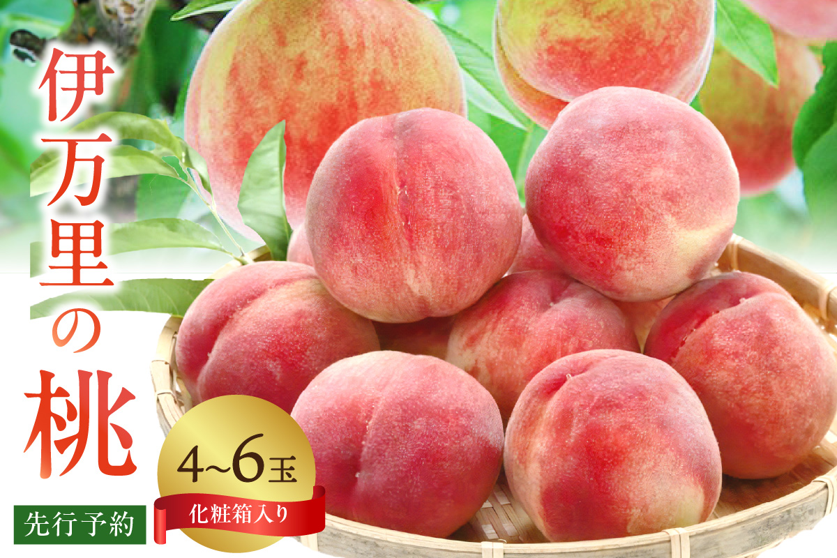 【先行予約】伊万里の桃 化粧箱入り（4～6玉） B742