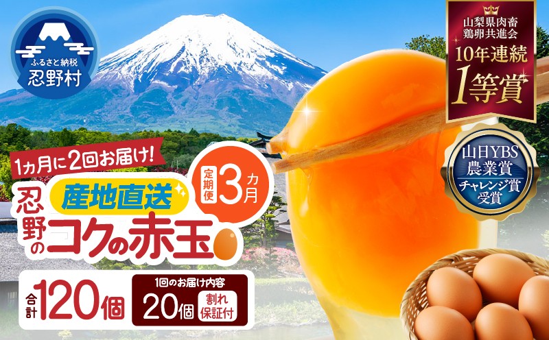 
                  ＼チョイス限定／ 【月2回発送・3ヶ月定期便】 富士山の麓で育った産地直送 ”忍野の卵” 20個×6回 (卵15個+割れ保証5個)
                