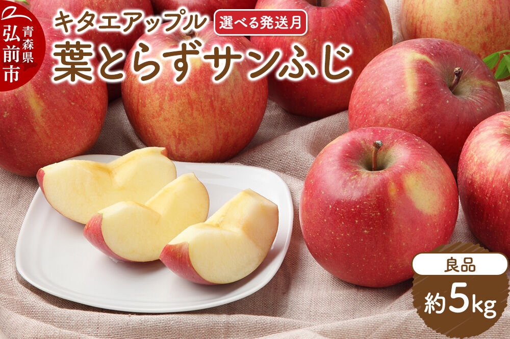 
                  りんご【26年12月～27年3月発送】葉取らずサンふじ【良品】約5kg キタエアップル 先行受付 クール便 青森県 弘前市 果物 フルーツ 林檎 リンゴ くだもの ギフト 贈り物 [先行予約 クール便 産地直送 アップル おいしい 果実 美味 甘い 赤色]
                