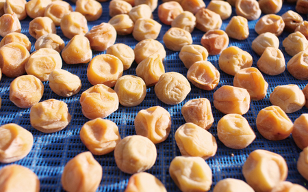 梅干し 無添加 完熟南高梅 1.25kg 塩分約20％ 無添加 サイズ混合 ご家庭用 【2025年9月より発送予定】【njb647-1】