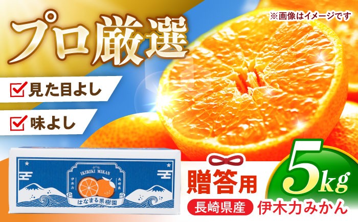 
                  ※【2026年11月下旬より順次発送／先行予約】伊木力みかん「はなまるみかん」(贈答用) 5kg / みかん ミカン 蜜柑 mikan 柑橘 かんきつ フルーツ ふるーつ 果物 くだもの / 諫早市 / 株式会社山野果樹園 [AHCF003]
                