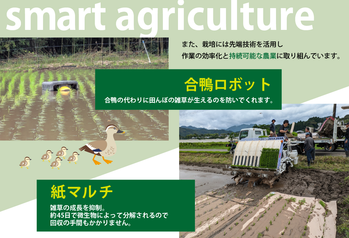 綾町の有機米 3kg_0004-100