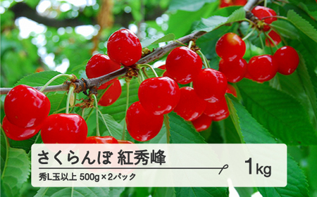 《先行予約》 山形県産 さくらんぼ 紅秀峰 バラパック詰 秀 Ｌ玉以上 1kg (500g×2) 2025年6月下旬から順次発送 果物 フルーツ nf-bsbpx500x2
