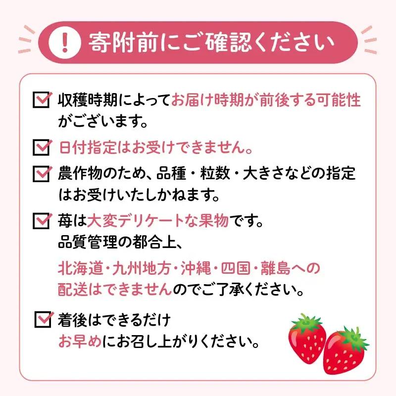【2027年3月発送】いちご 完熟 2パック なごみジャム 6個 セット 紅ほっぺ