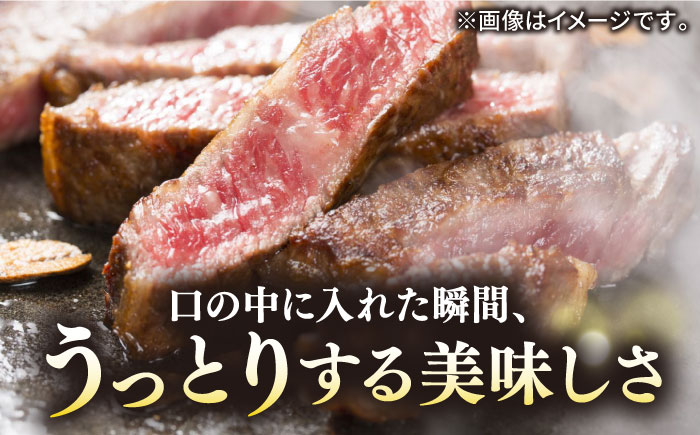 【全2回定期便】極上 壱岐牛 A5ランク サーロインステーキ 350g×2枚（雌）《 壱岐市 》【 KRAZY MEAT 】 [JER039] 100000 100000円 10万円