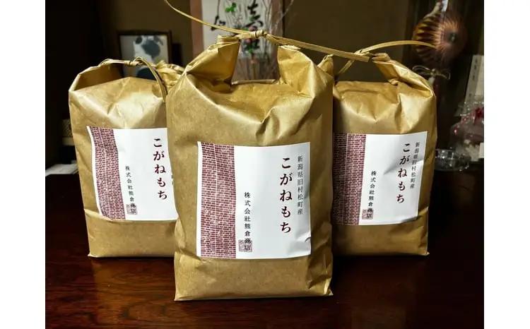 令和7年産 旧村松町産 こがねもち 15kg 新潟県 五泉市 株式会社熊倉商店