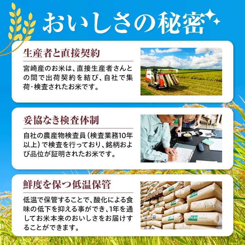 米 こしひかり 合計15kg 米[令和8年産 宮崎県産 5kg×3袋 2～7営業日以内に発送予定]