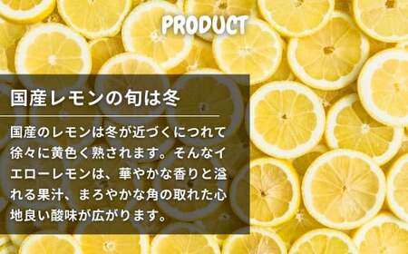 芳醇! 文田農園のレモン 約3kg 【2027年 2～3月発送】
