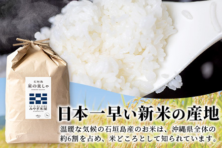 【日本一早い新米】3カ月連続お届け 令和５年産 石垣島産 星の美しゃ（ほしのかいしゃ）15kg（5kg×3袋）【産地直送 沖縄県 石垣市 石垣島 米】MK-6