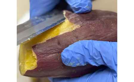 まるたき工房の干し芋【シルクスイート】600g　おいも スイーツ ほしいも さつまいも おやつ お菓子 和菓子 和スイーツ