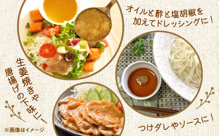 料理に使えるしょうが＆レモン 約150g×5個 セット 合計約750g【ジンジベル】[AYAD006]