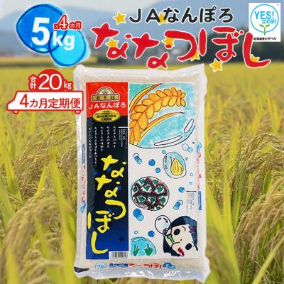 ふるさと納税 南幌町 ななつぼし 20kg(5kg×4カ月定期便) 令和7年産 YES!clean 北海道安心ラベル