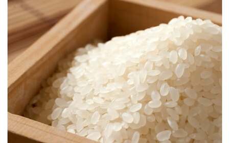 【令和7年産】【10月発送予定】先行予約 新米 ミルキークイーン 10kg ( 5kg × 2 ) 農家直送 ミルキークイーン お米 米 こめ コメ 10キロ ミルキークイーン 精米 令和7年度 ミル