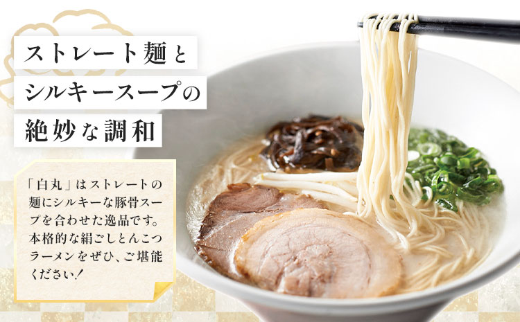 ラーメン 一風堂 白丸 ラー麦麺 20食 地域商社ふるさぽ《90日以内に出荷予定(土日祝除く)》福岡県 鞍手郡 小竹町 ラーメン とんこつ 豚骨スープ 豚骨ラーメン ラー麦 麺---sc_fsipdr