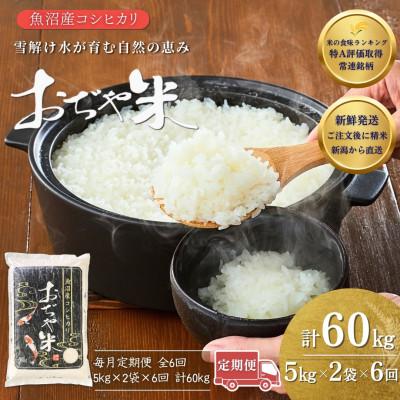 ふるさと納税 小千谷市 【毎月定期便】新潟県 魚沼産 コシヒカリ 精米10kg お申込み後に精米 おぢや米全6回